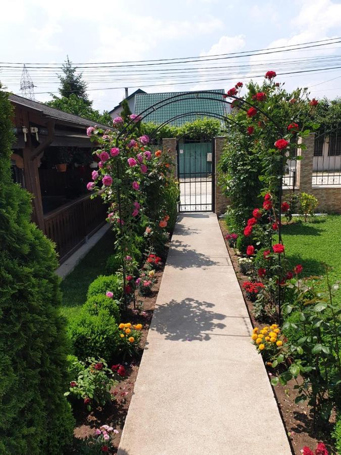 Vila Yna Неводарі Екстер'єр фото